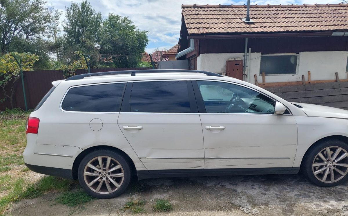 Miniatură 7