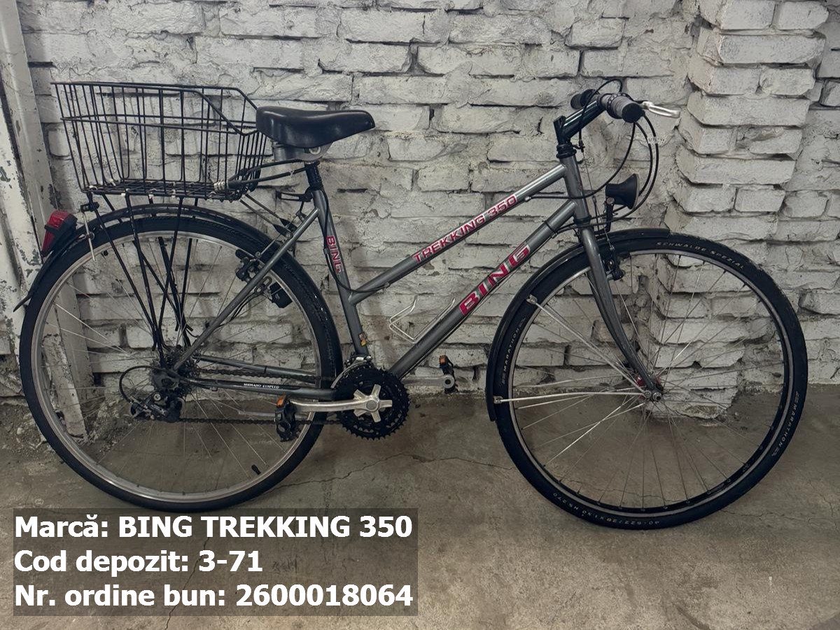 Bicicleta- BING Trekking 350 1