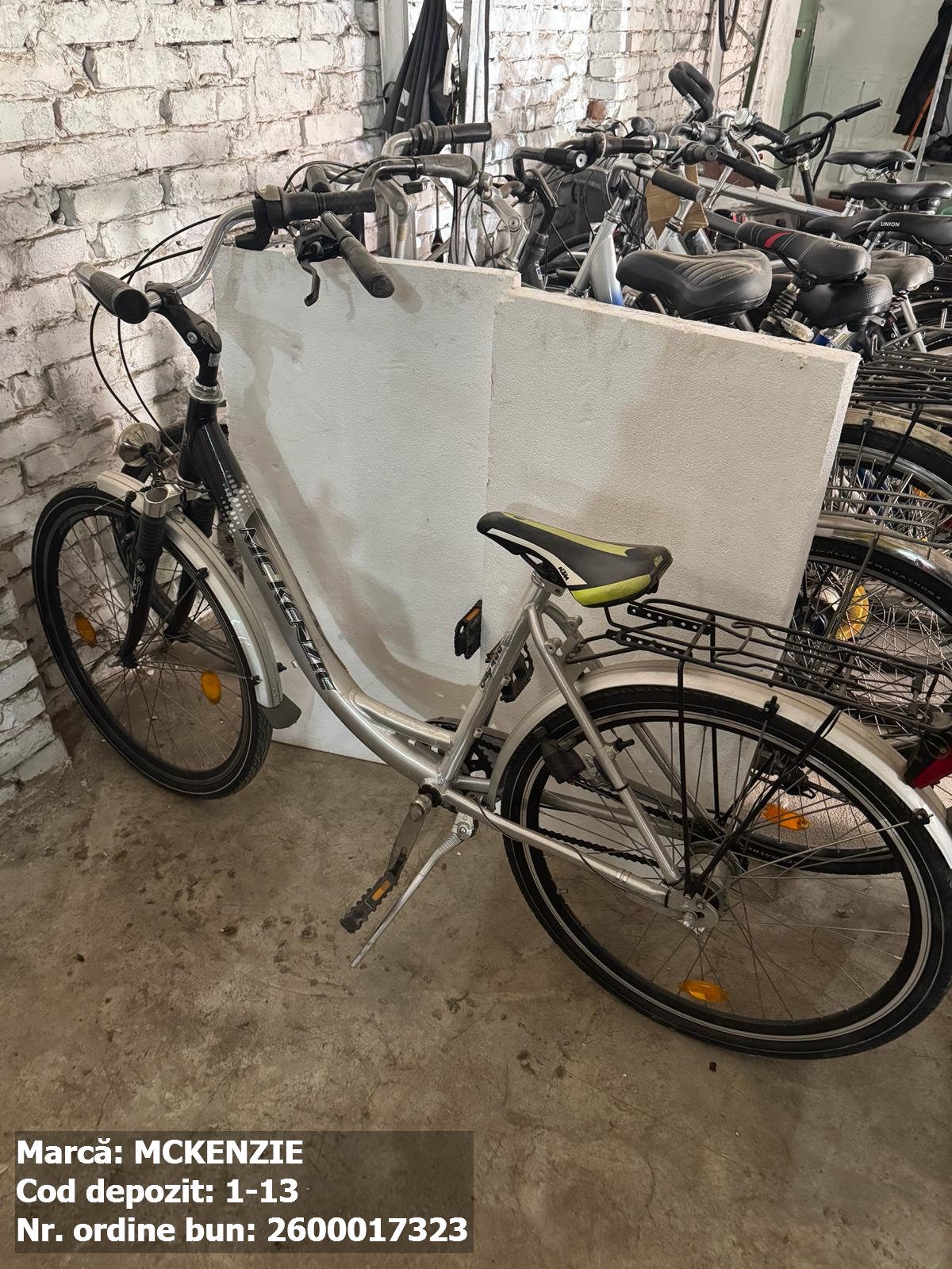 Bicicleta- McKenzie 1