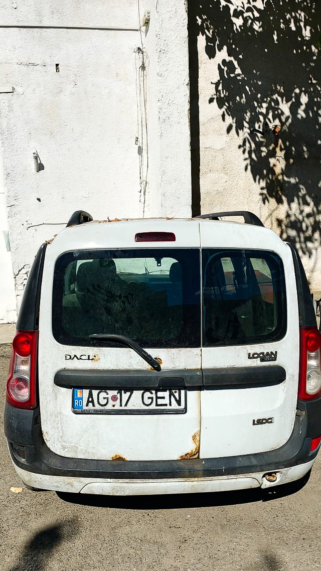 Miniatură 6