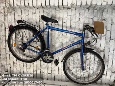 Bicicleta- Tig Oversize