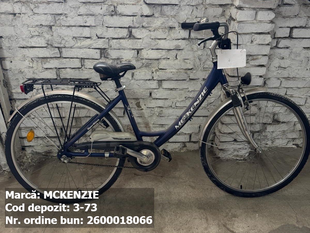 Bicicleta- McKenzie 1