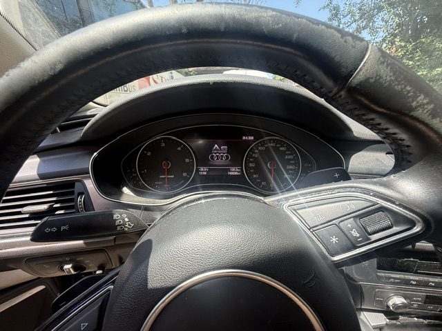 Miniatură 7