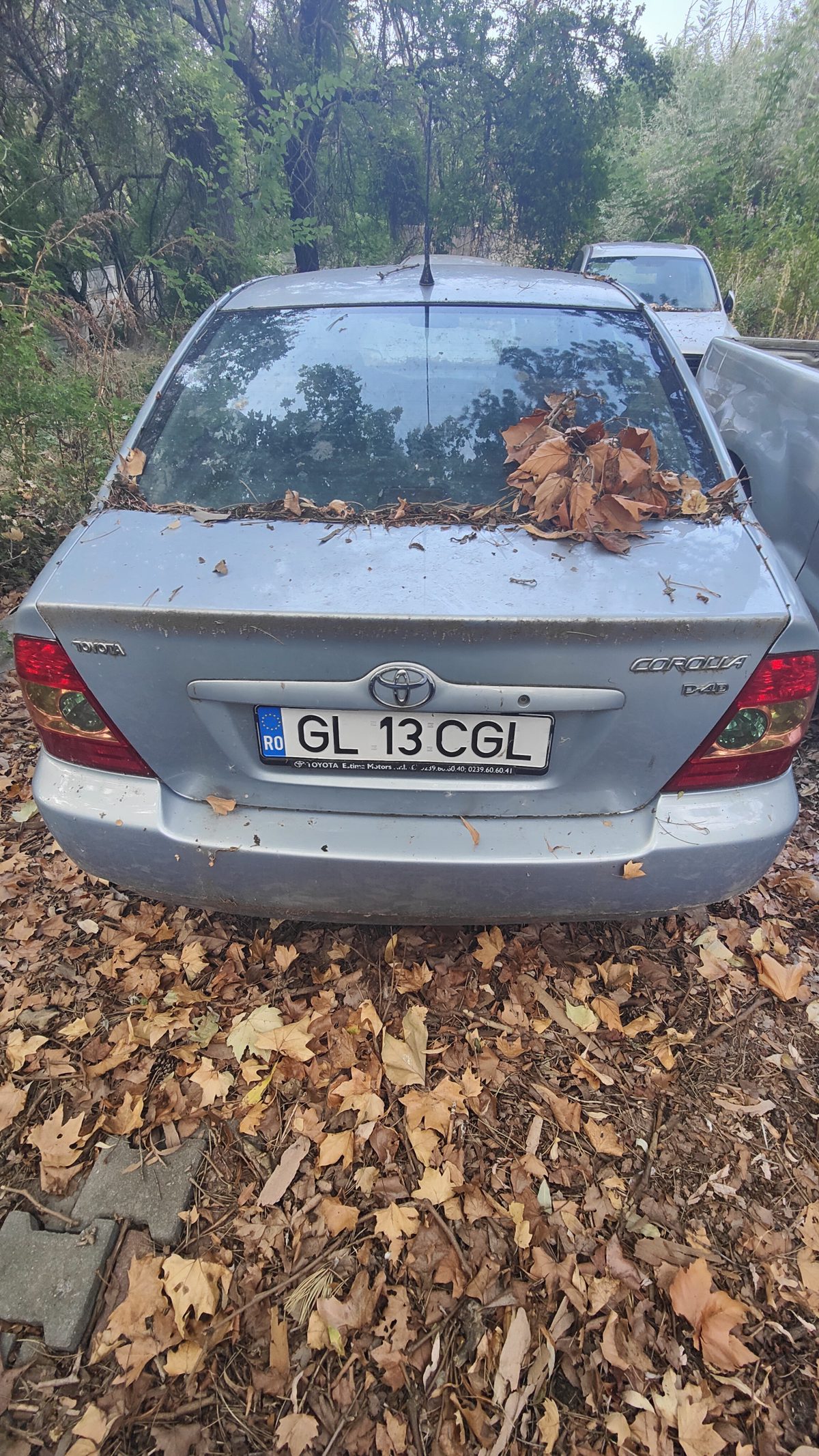 Miniatură 2