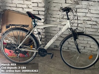 Bicicleta- Rex