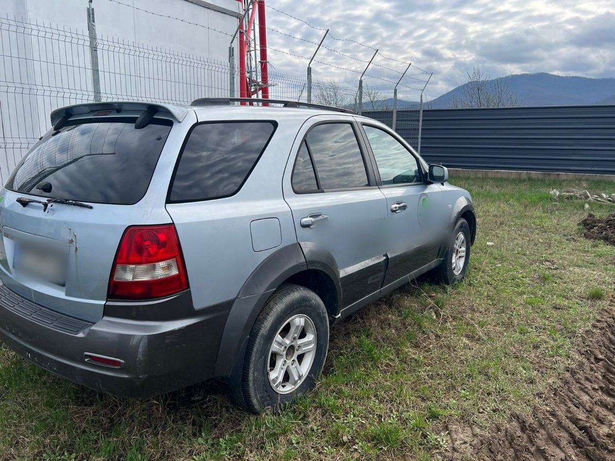 Miniatură 2
