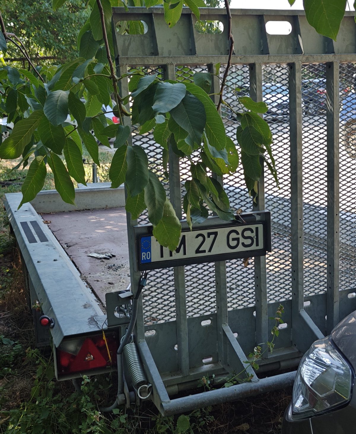 Miniatură 9