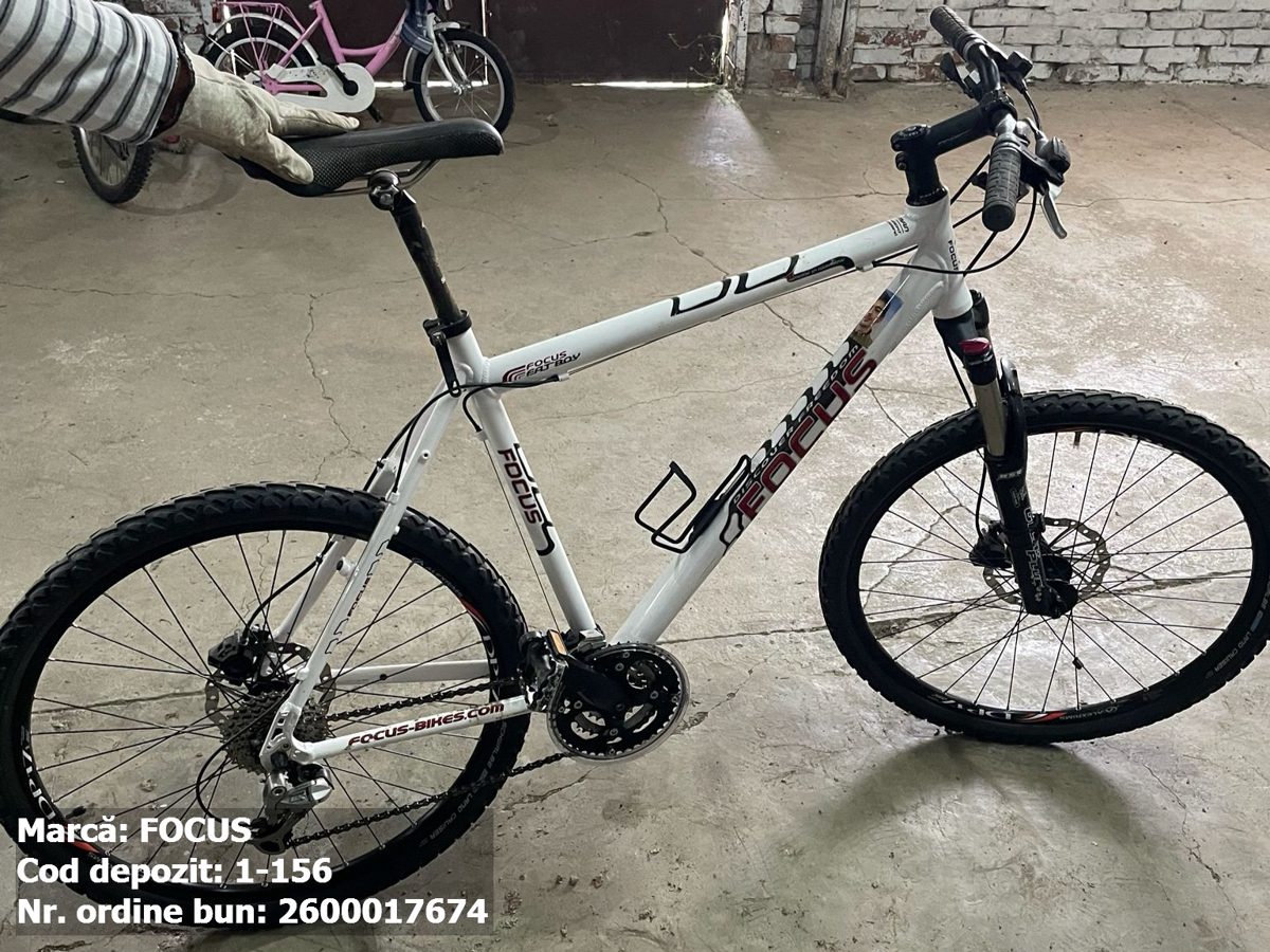 Bicicleta- Focus 1