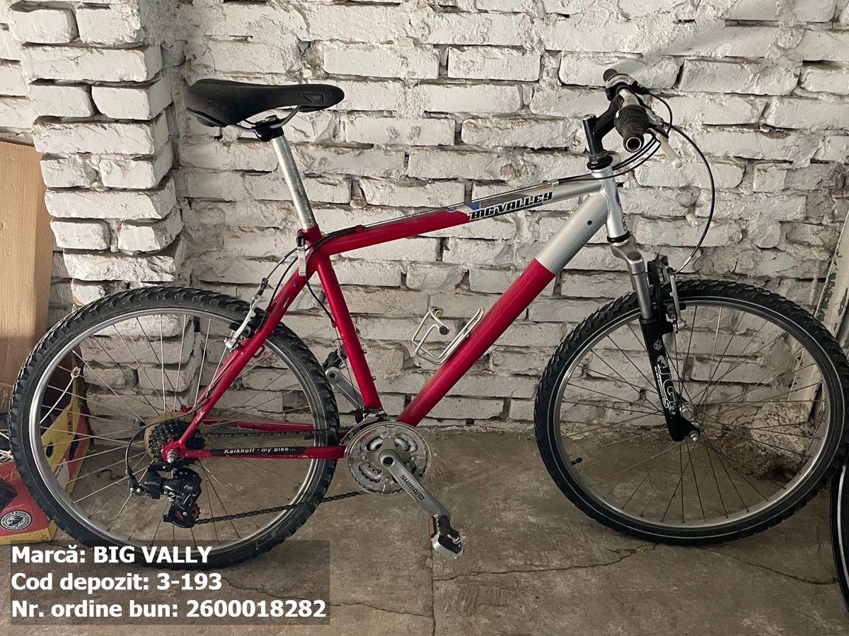 Bicicleta- Big Vally 1