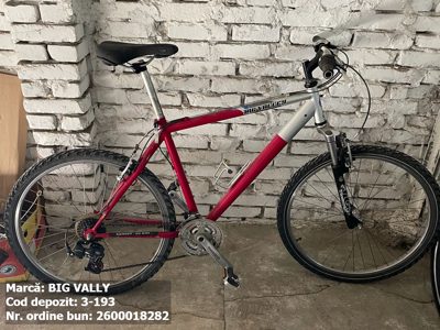 Bicicleta- Big Vally