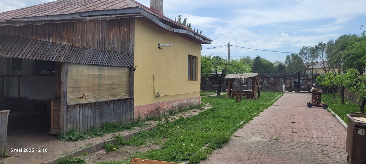 Miniatură 2