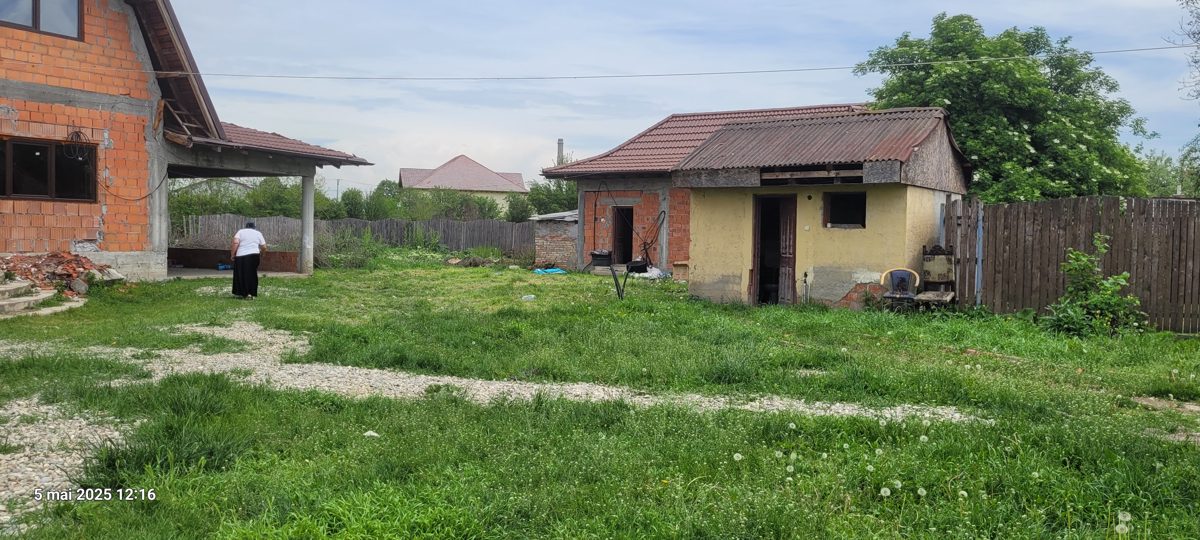 Miniatură 7