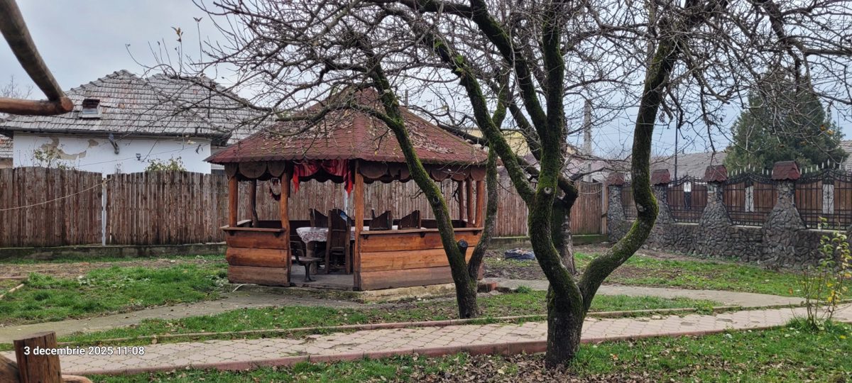 Miniatură 9