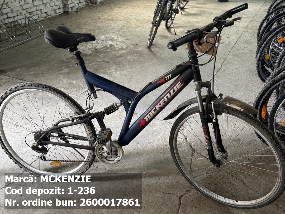 Bicicleta- McKenzie 1