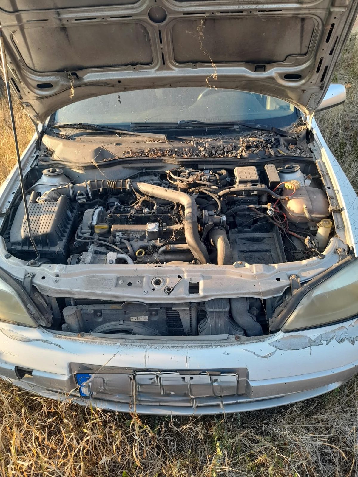 Miniatură 3