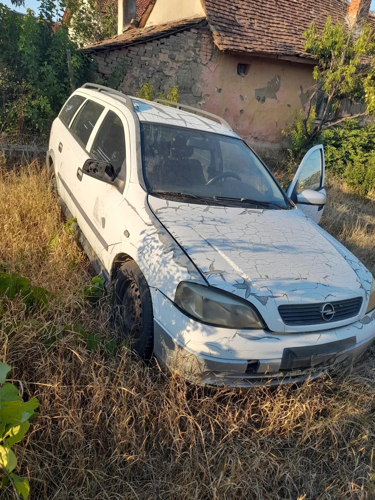 Miniatură 10