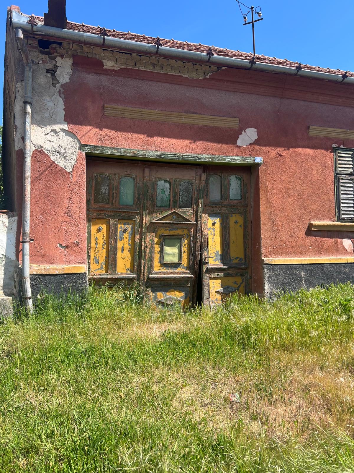 Miniatură 3