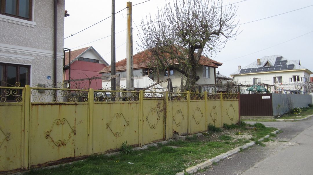 Miniatură 2