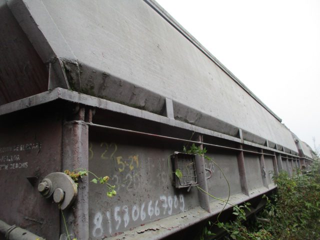 Vagon 815306667909 - Vagon marfa TALS (1979) 1