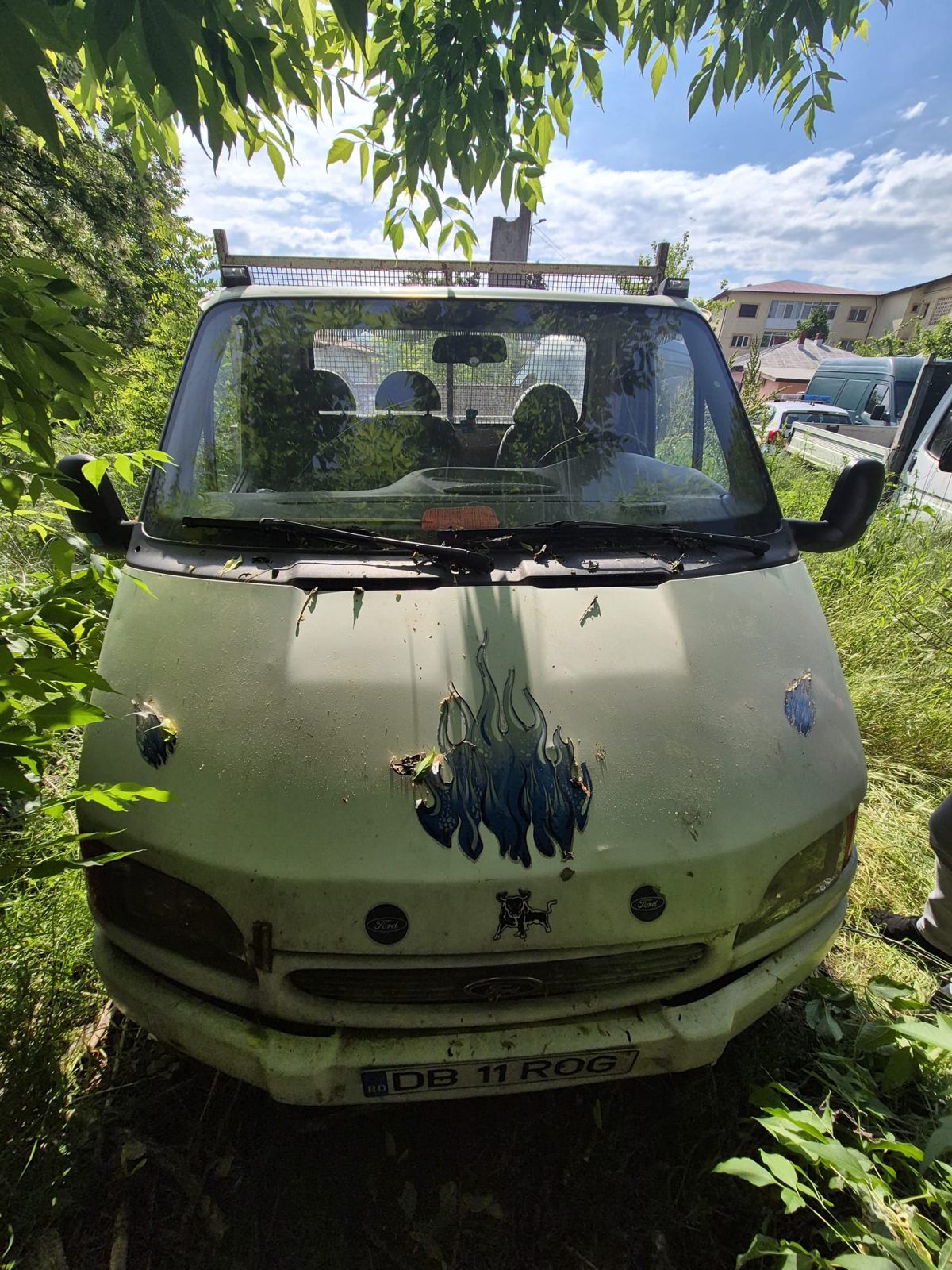 Miniatură 2