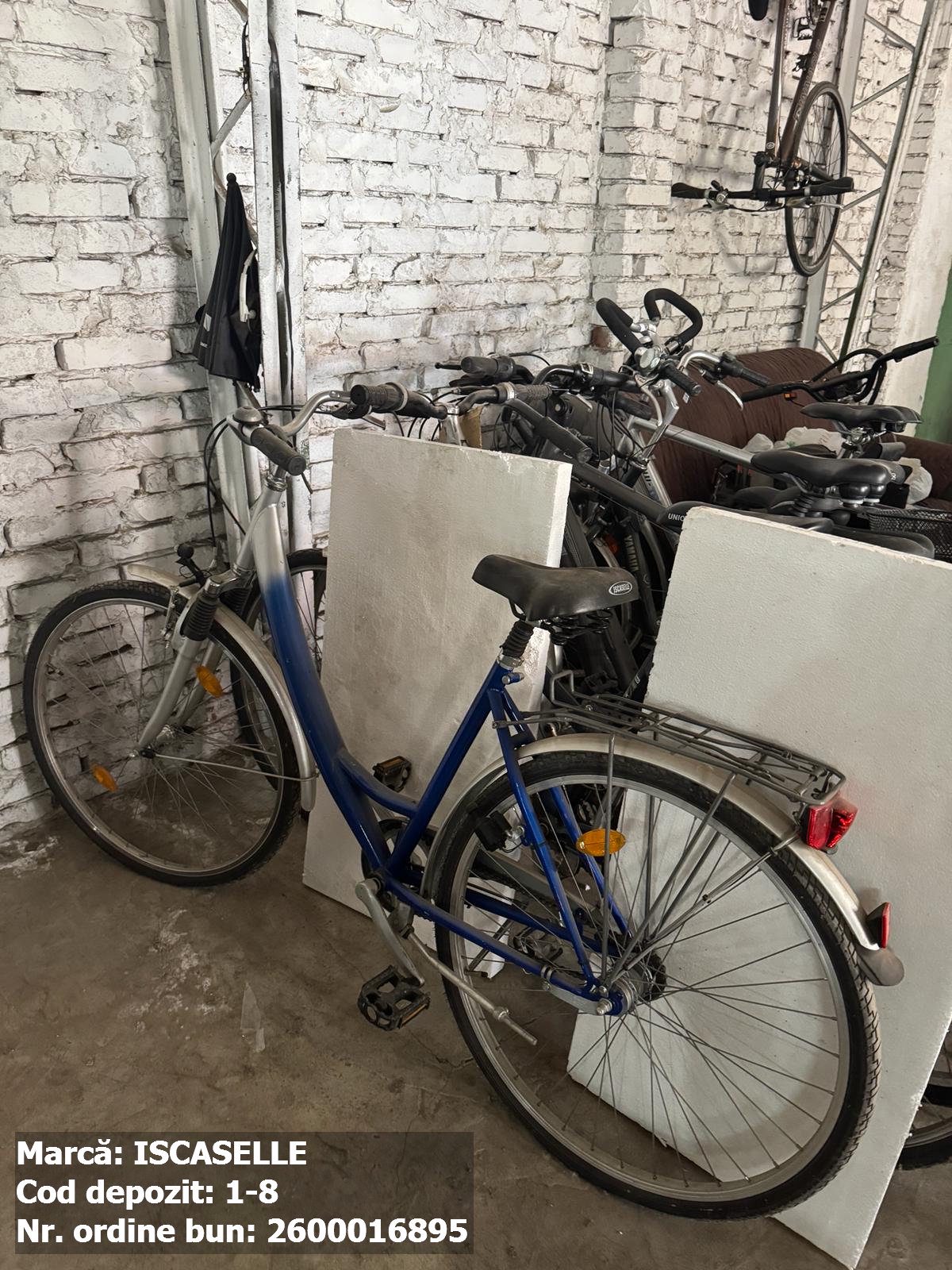 Bicicleta - Iscaselle 1