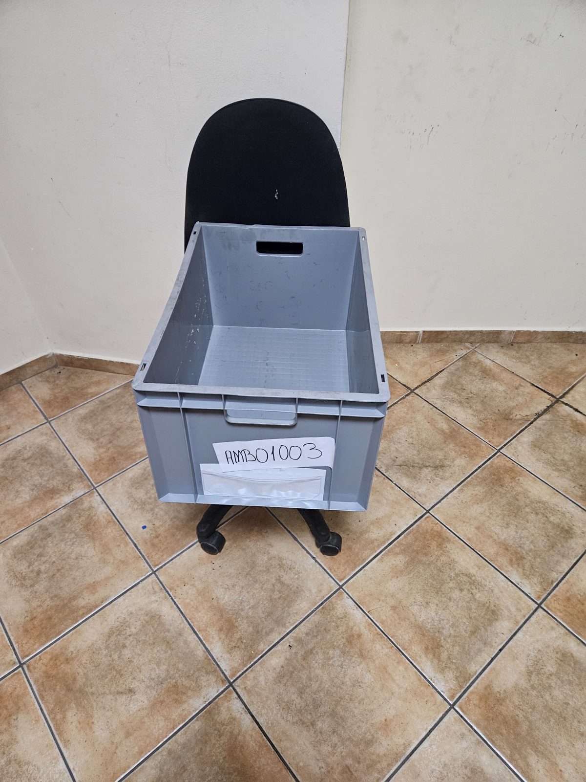 Miniatură 2