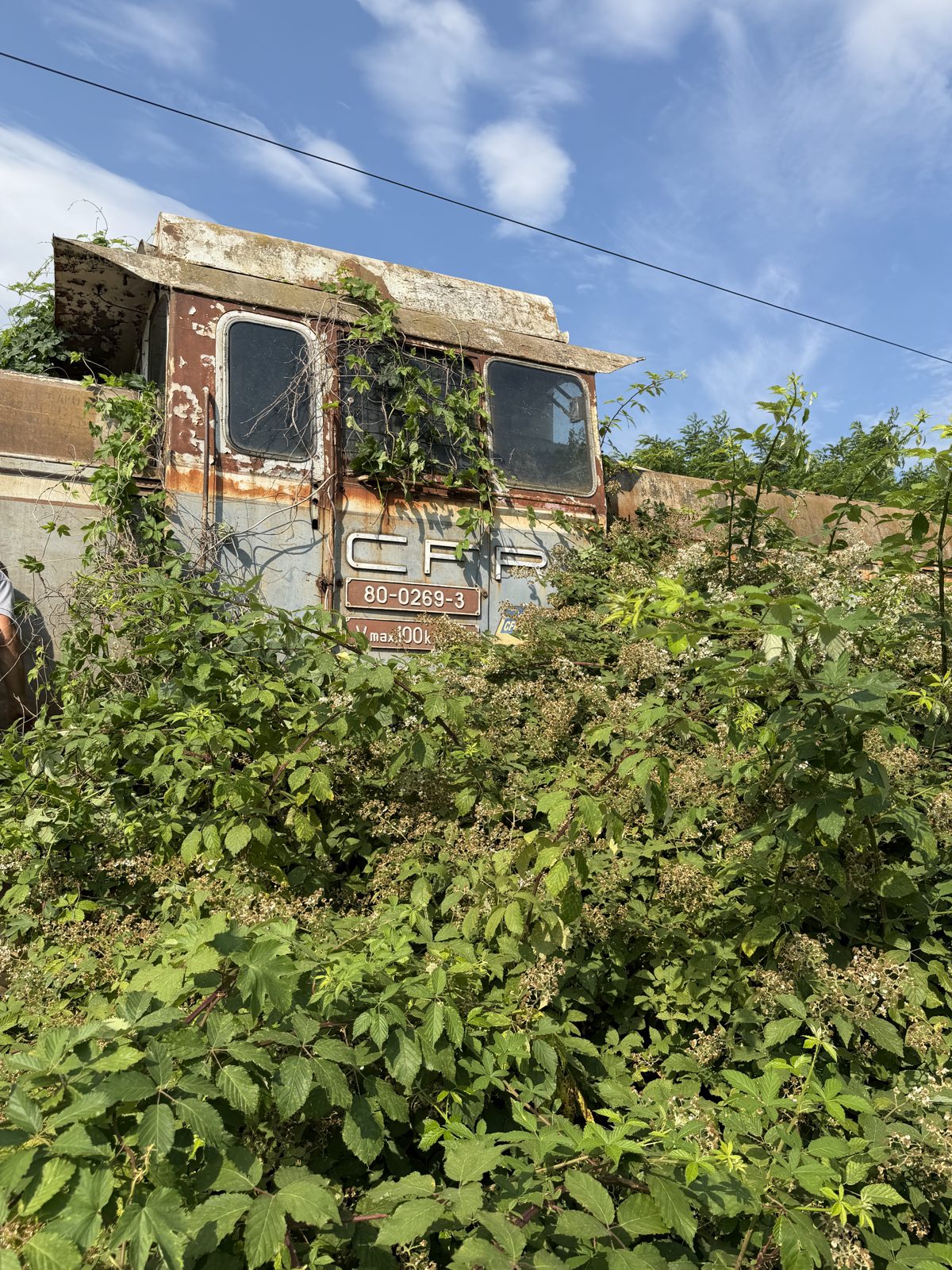 Locomotiva 24261 - LOCOMOTIVA LDH 1250 CP COD 800269-3 (01.07.1972) 1