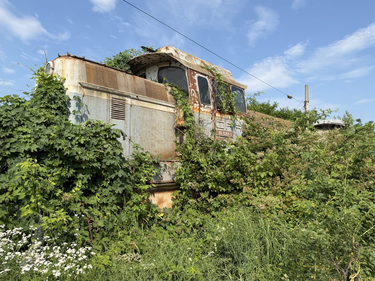 Miniatură 2