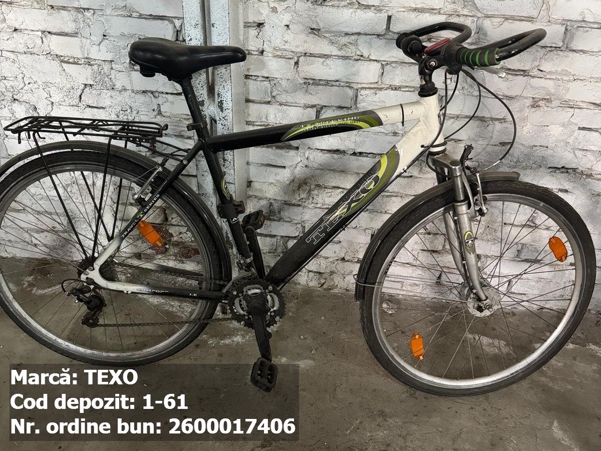 Bicicleta- Texo 1