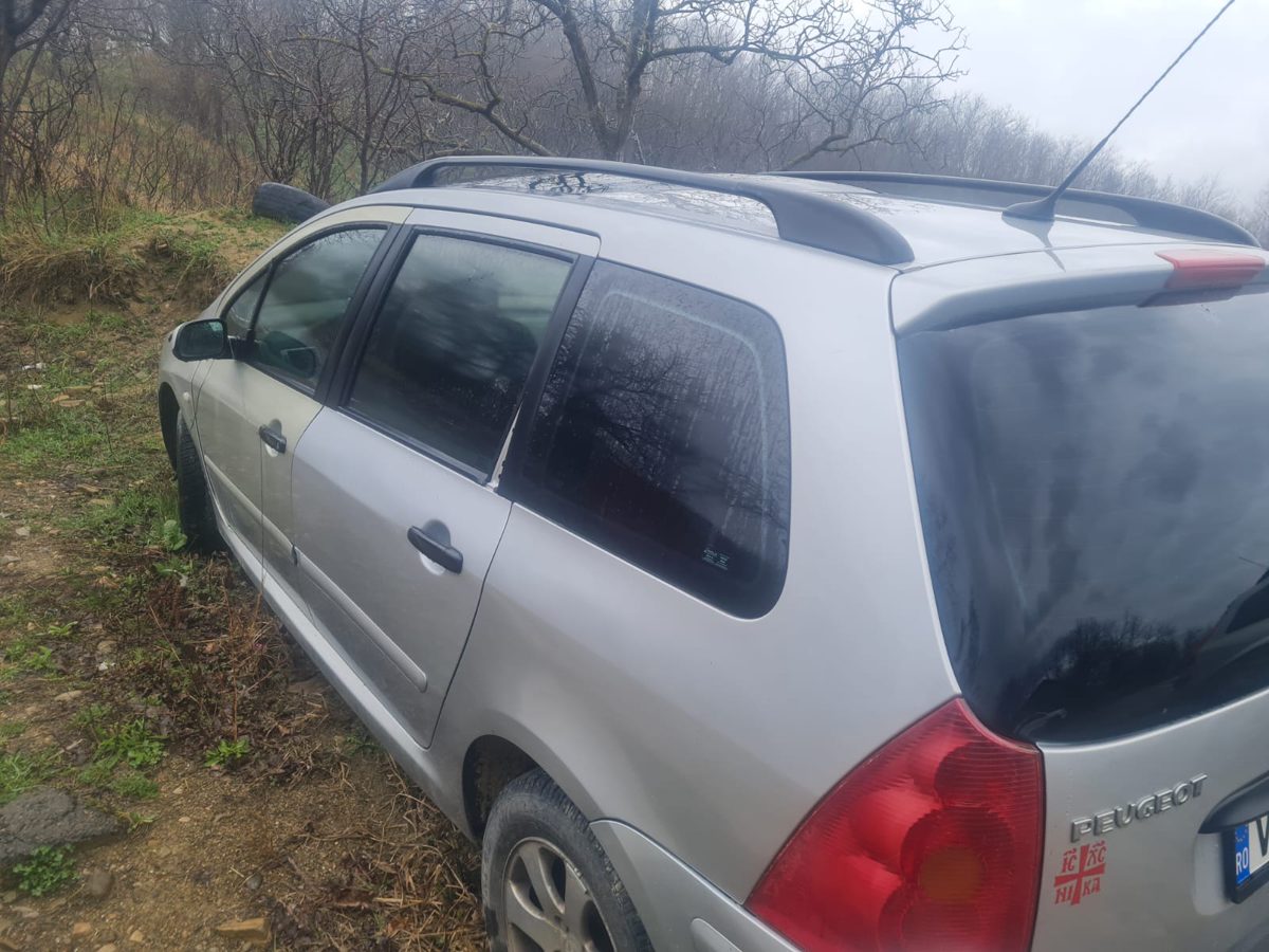 Miniatură 4