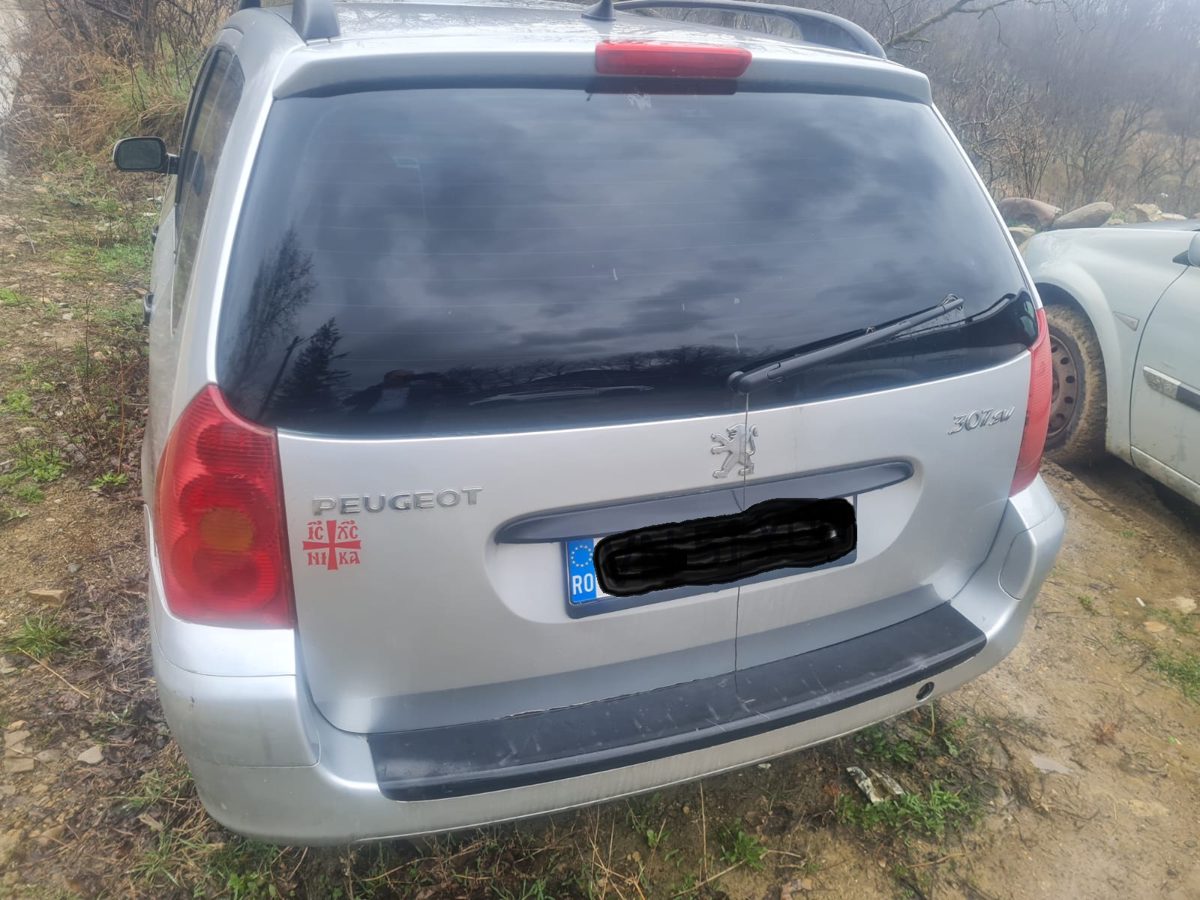 Miniatură 5