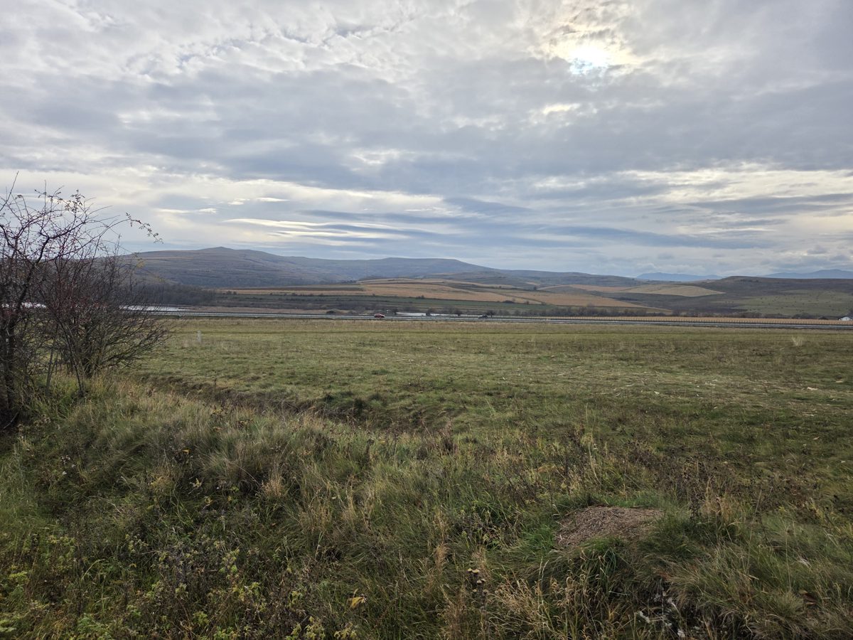 TEREN EXTRAVILAN, IN SUPRAFATA DE 2100 MP, SITUAT IN LOC. CIURILA, JUD. CLUJ 1