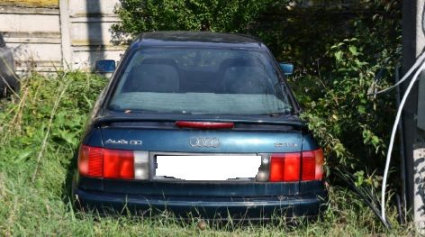 Miniatură 8