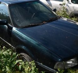 Miniatură 9