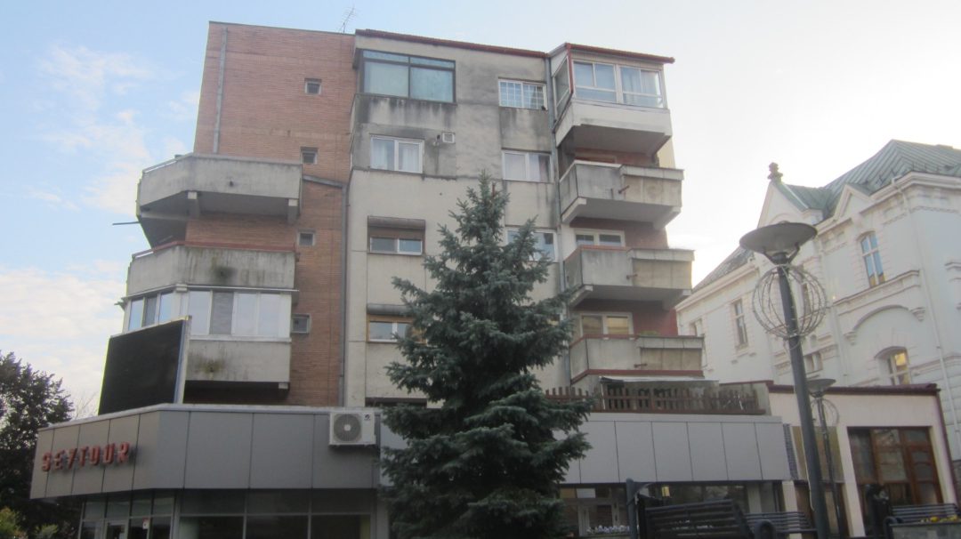Miniatură 3