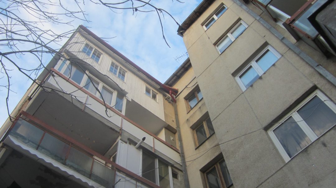 Miniatură 5