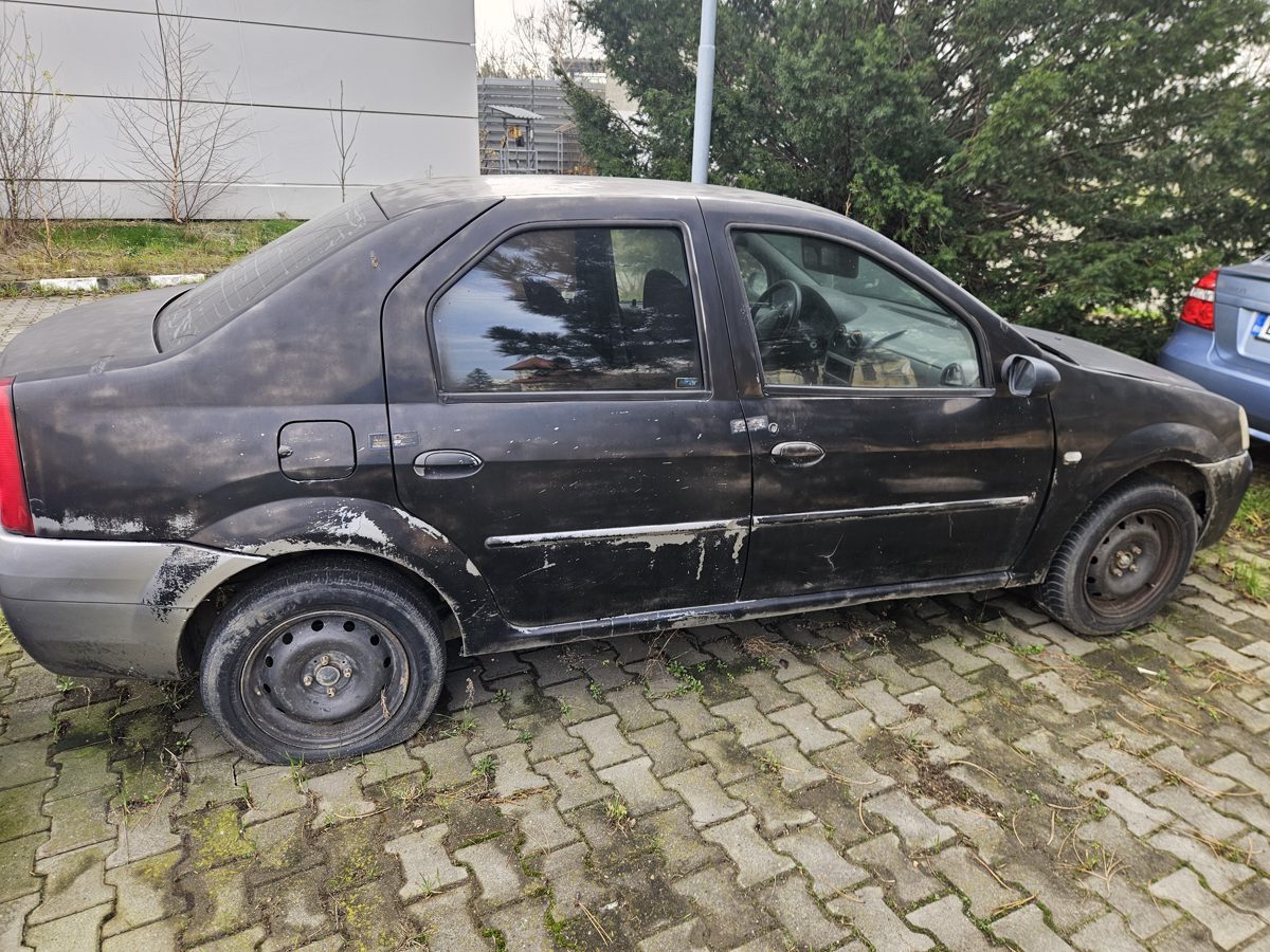 Miniatură 6