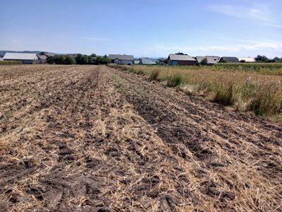 Teren agricol - ARABIL-INTRAVILAN in suprafata de 6196 MP