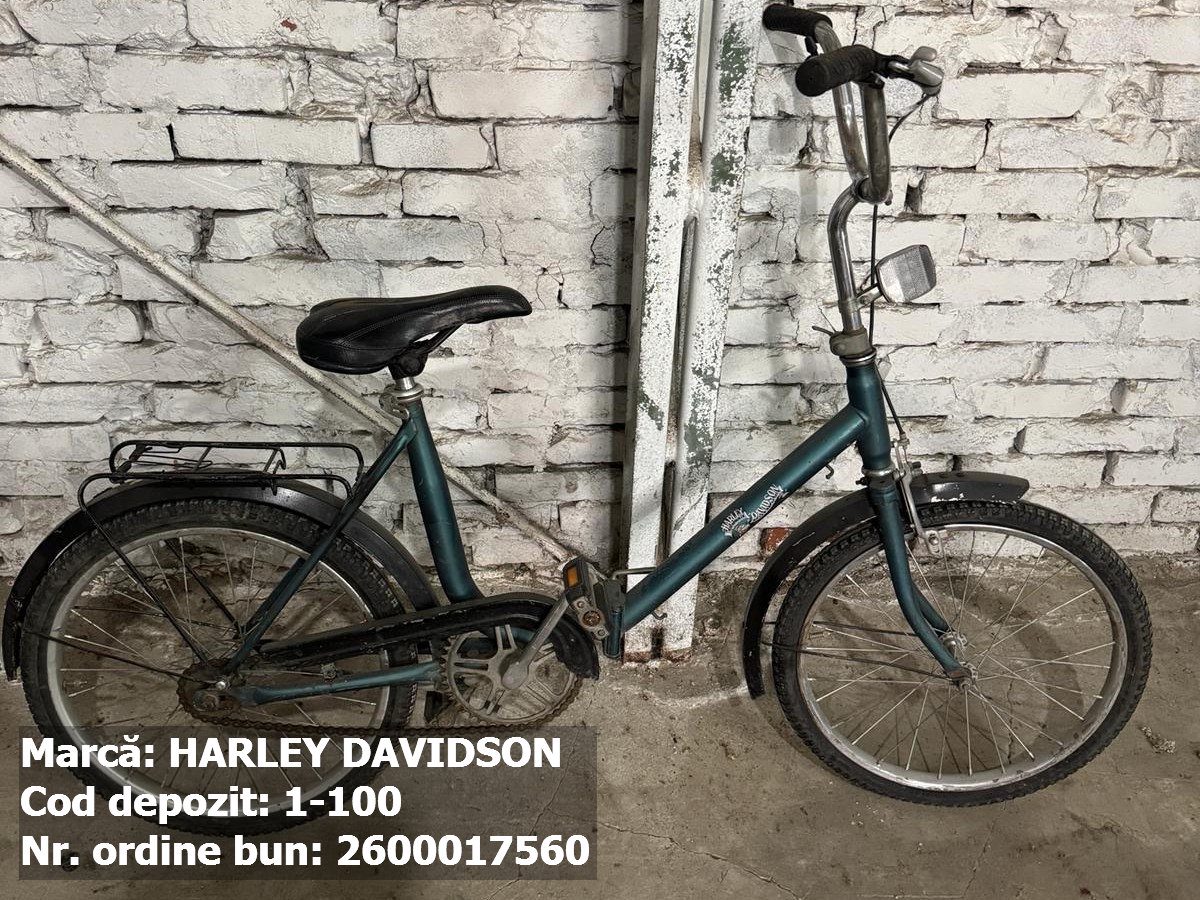 Bicicleta- Harley Davidson 1