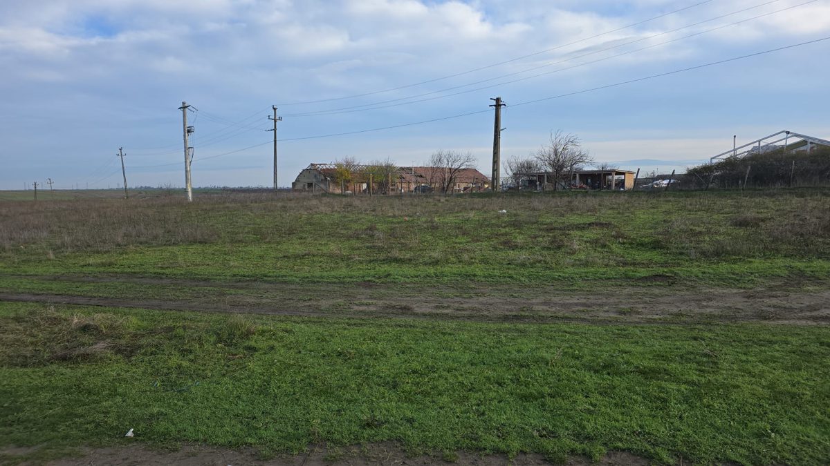 Miniatură 6