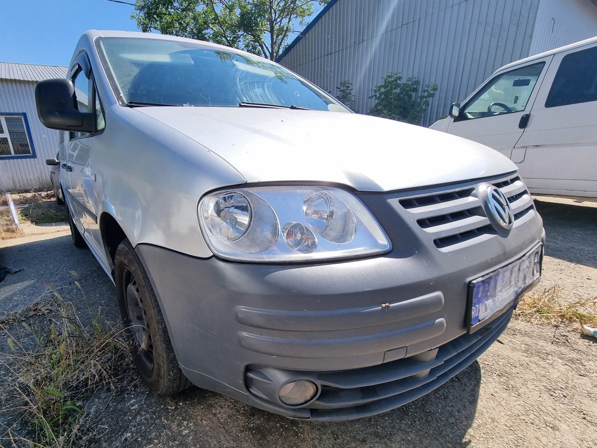 Miniatură 3