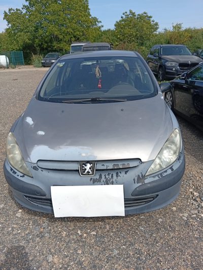 Autoturism marca PEUGEOT 307