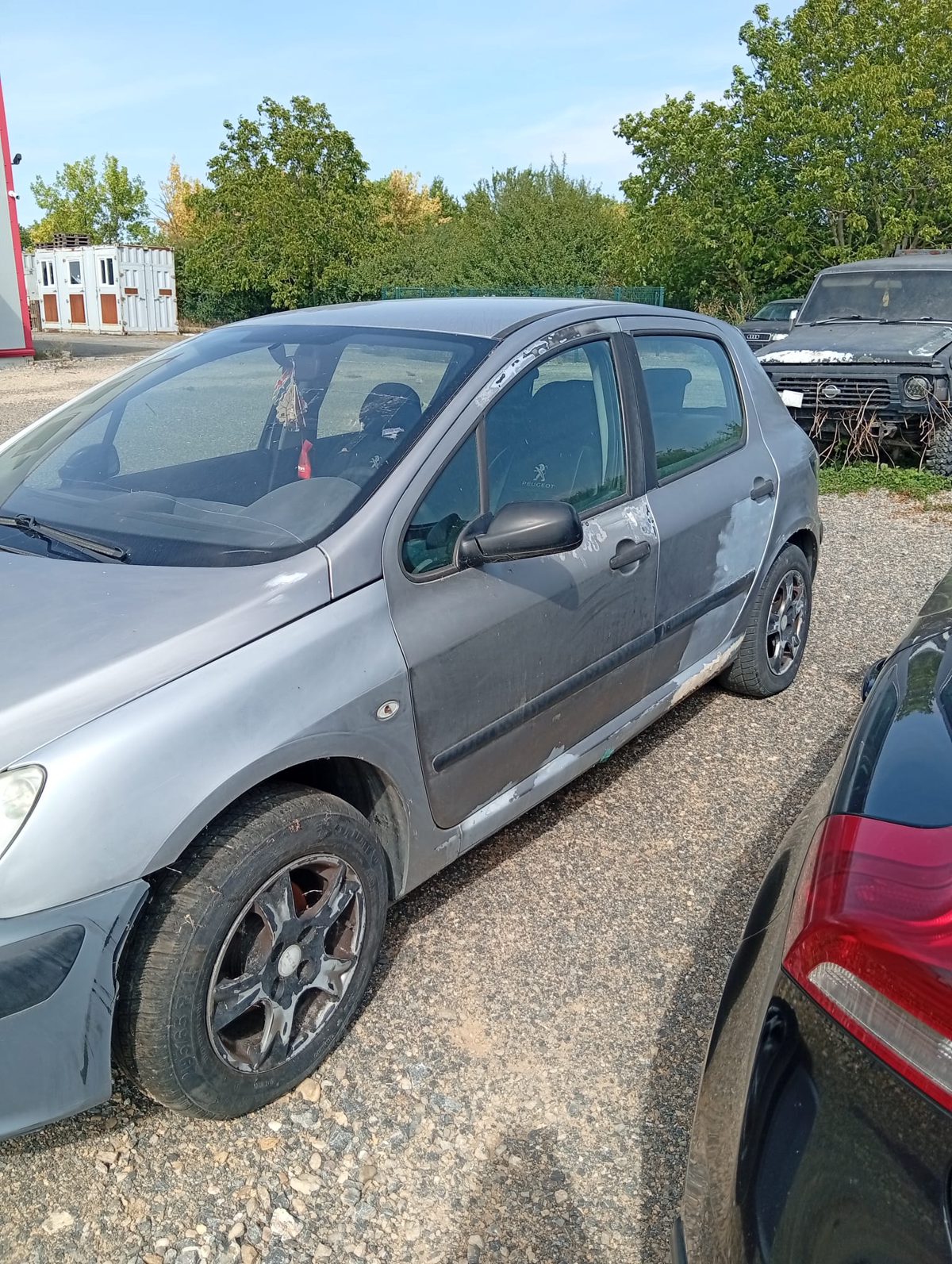 Miniatură 3