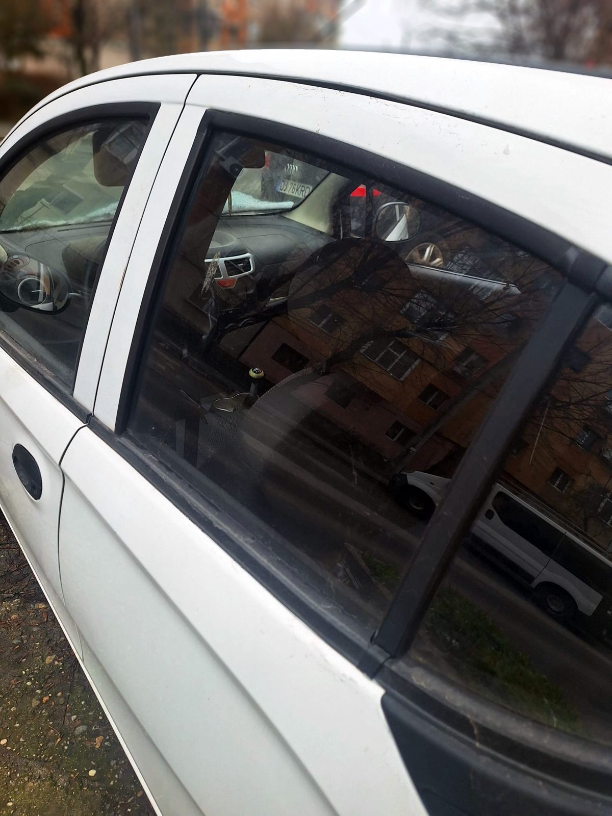 Miniatură 7
