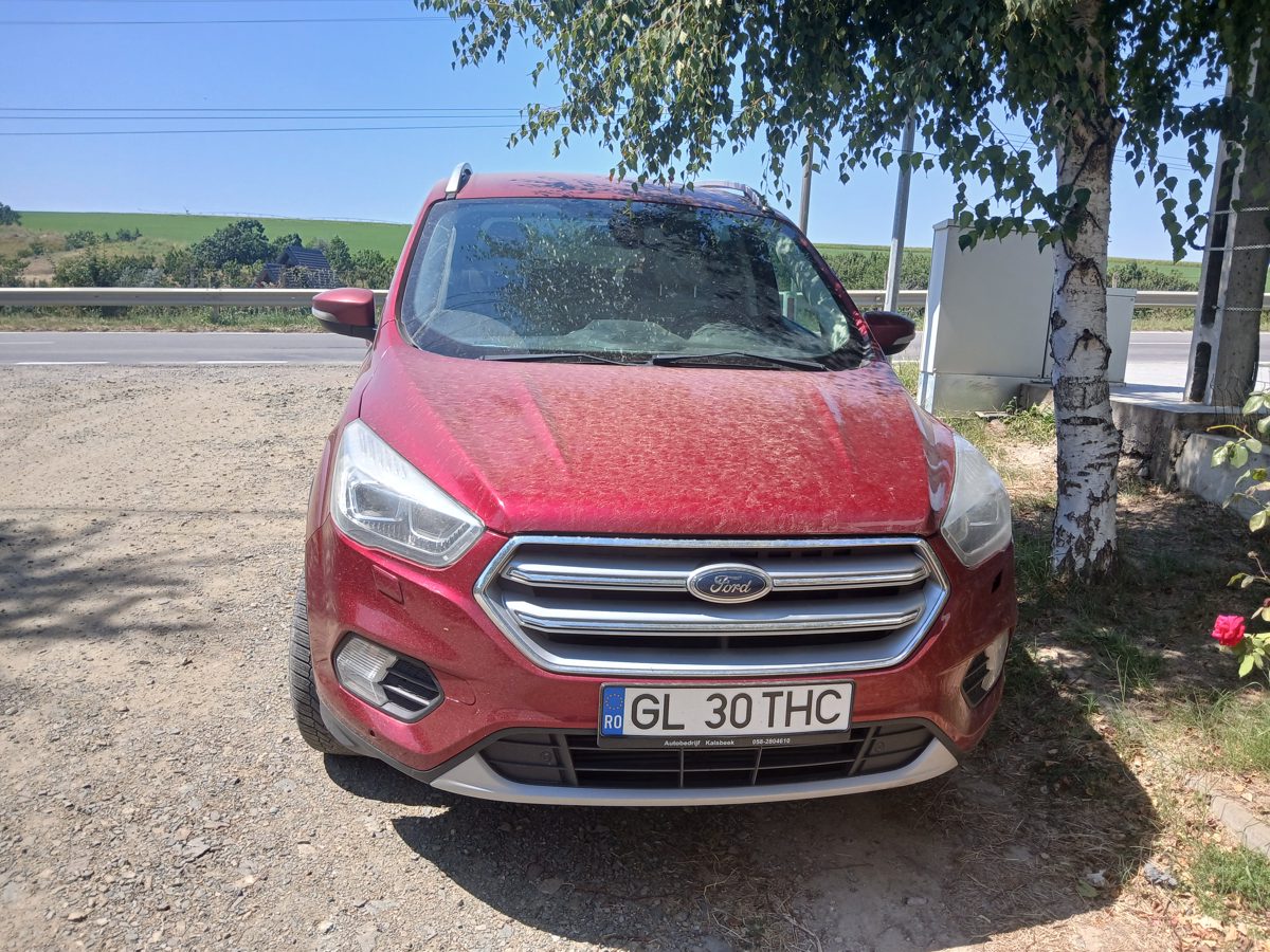 Miniatură 3