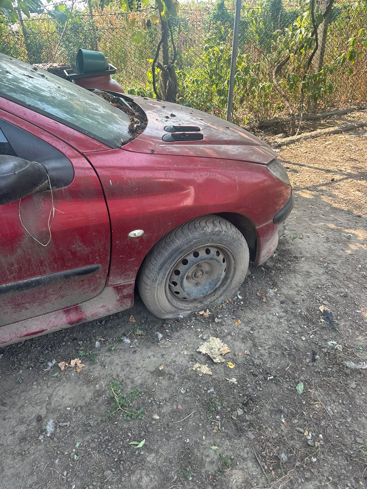 Miniatură 2
