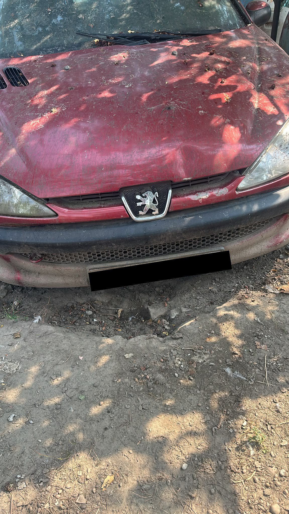 Miniatură 4