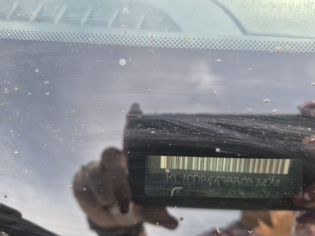 Miniatură 3