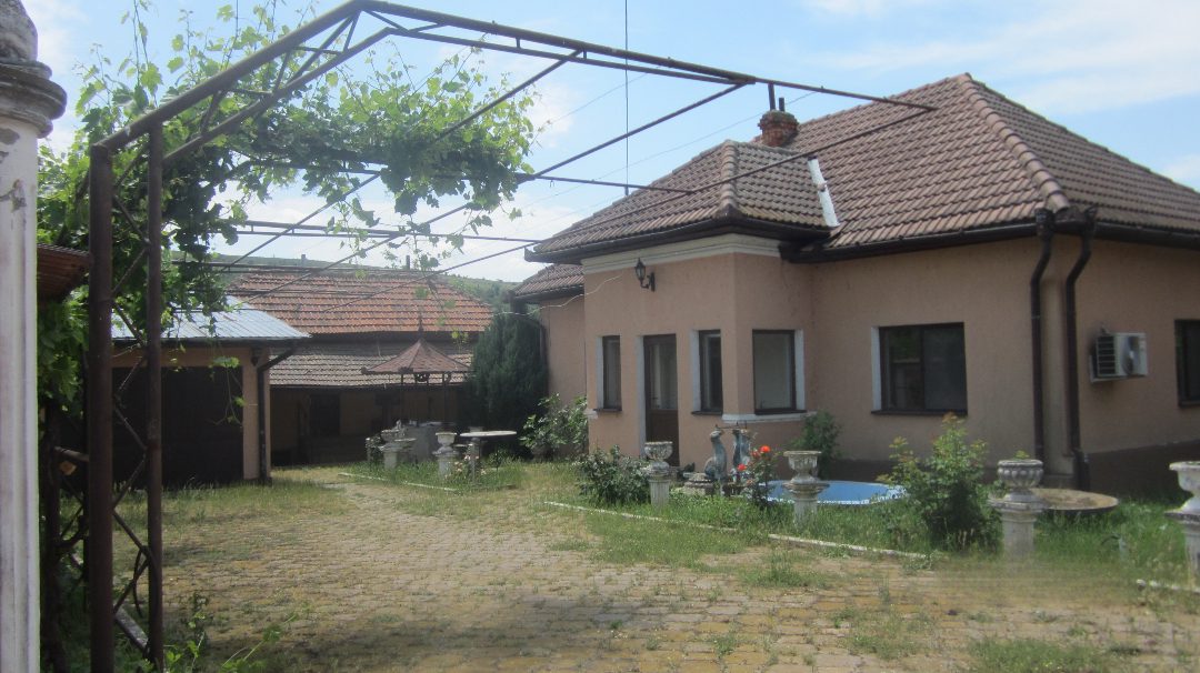 Miniatură 2