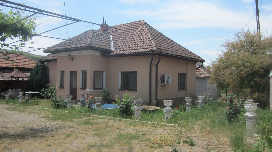 Miniatură 3